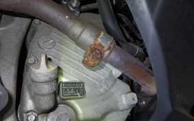 HONDA FORESIGHT EX MF04