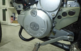KAWASAKI KLX250 2022 LX250E