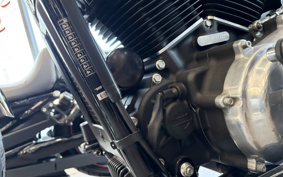 HARLEY FXST1340-1450 2020 BVJ