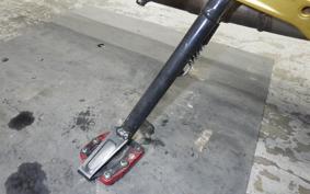 DUCATI DIAVEL 1260 S 2019