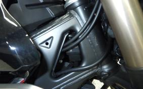 HONDA CB250R 2019 MC52