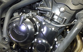 TRIUMPH TIGER 800 2015