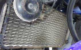 SUZUKI GSX250R