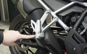 TRIUMPH TIGER 900 GT PRO 2020