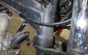OTHER UNREGISTERED MODEL by BDS125 TRIKE 1999