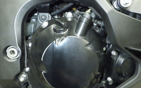 KAWASAKI NINJA 1000SX 2021 ZXT02K
