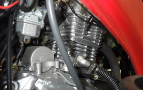OTHER UNREGISTERED MODEL by BDS TRIKE250 2024