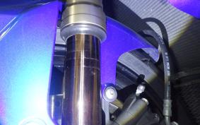 SUZUKI GSX-R1000 2010