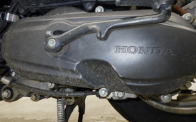 HONDA TACT Basket 2025 AF79
