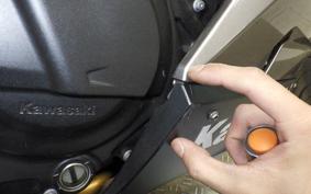 KAWASAKI NINJA 250 EX250P