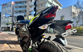 KAWASAKI Z250ABS EX250P