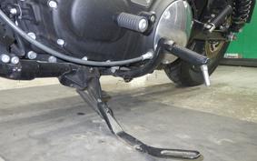 HARLEY XL883N 2019