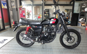 KAWASAKI W175 TR BJ175C