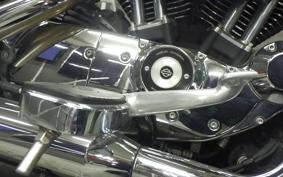 OTHER +HD. XL1200T 2015