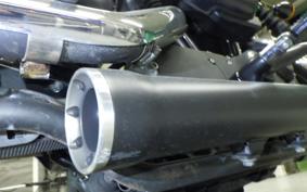 HARLEY XL883N 2009