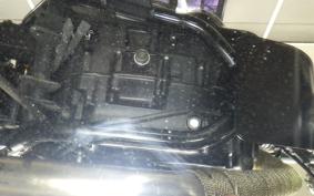 KAWASAKI 250TR