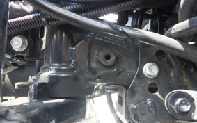 SUZUKI GSX250 R 2006