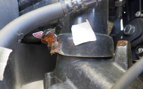 HONDA C125 SUPER CUB JA58