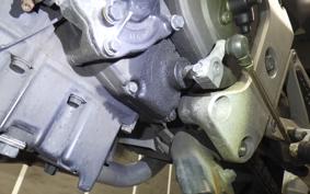 HONDA HORNET 250 2021 MC31