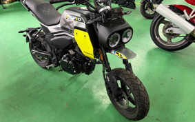 OTHER CFMOTO XO-2 PAPIO