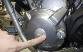 HONDA CRF250L 2024 MD44