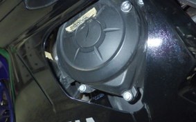 YAMAHA YZF-R25 A 2009 RG43J