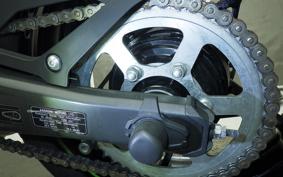 KAWASAKI ZX-4RR 2023 ZX400P