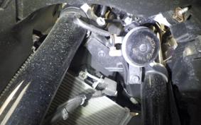 YAMAHA YZF-R25 A 2008 RG74J