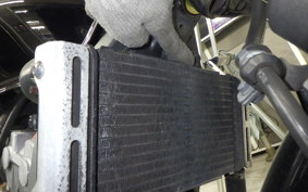 HONDA HORNET 250 MC31