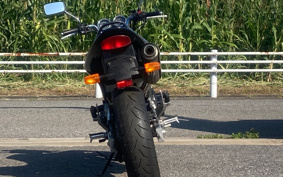 HONDA HORNET 250 MC31