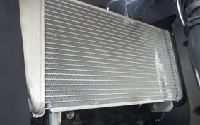 YAMAHA YZF-R25 A RG74J