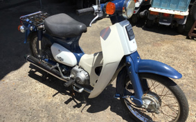 HONDA SUPER CUB50 C50