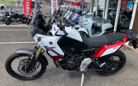 YAMAHA TENERE 700 2020 DM09J
