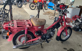 HONDA  MAIL  CUB  MD50