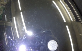 HARLEY FXLRST1920 2025