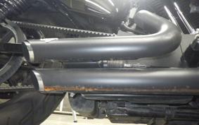 HARLEY XL1200NS 2020