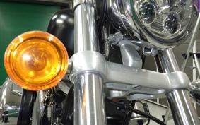 HARLEY XL1200V 2012