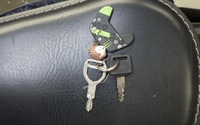 HONDA STEED 400 1995 NC26