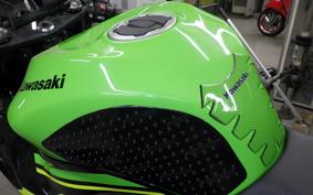 KAWASAKI NINJA ZX-6R A 2019 ZX636G