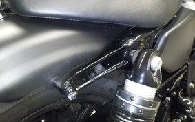 HARLEY XL1200NS 2021