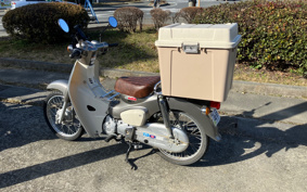 HONDA SUPER CUB50 AA09