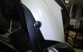 YAMAHA X-MAX 250 A SG42J