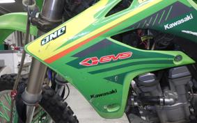 KAWASAKI KLX250 2024 LX250E