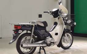HONDA C110 SUPER CUB 2021 JA10