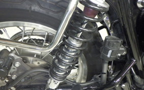 KAWASAKI W800 2022 EJ800E