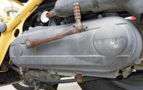 HONDA ZOOMER 2018 AF58