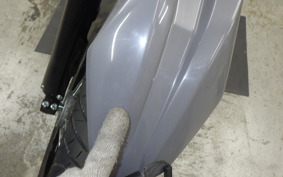 KAWASAKI KLX230SM 2006 LX232A