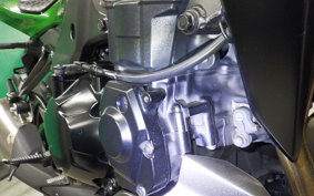 KAWASAKI Z1000 Gen.5 2019 ZXT00W
