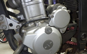 KAWASAKI KLX250D TRACKER X LX250V