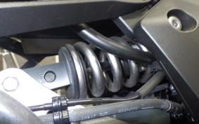 KAWASAKI NINJA 1000 SX 2023 ZXT02K